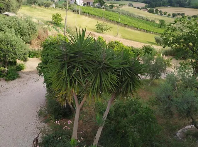 Casa Il Canto Bed and Breakfast Tortoreto